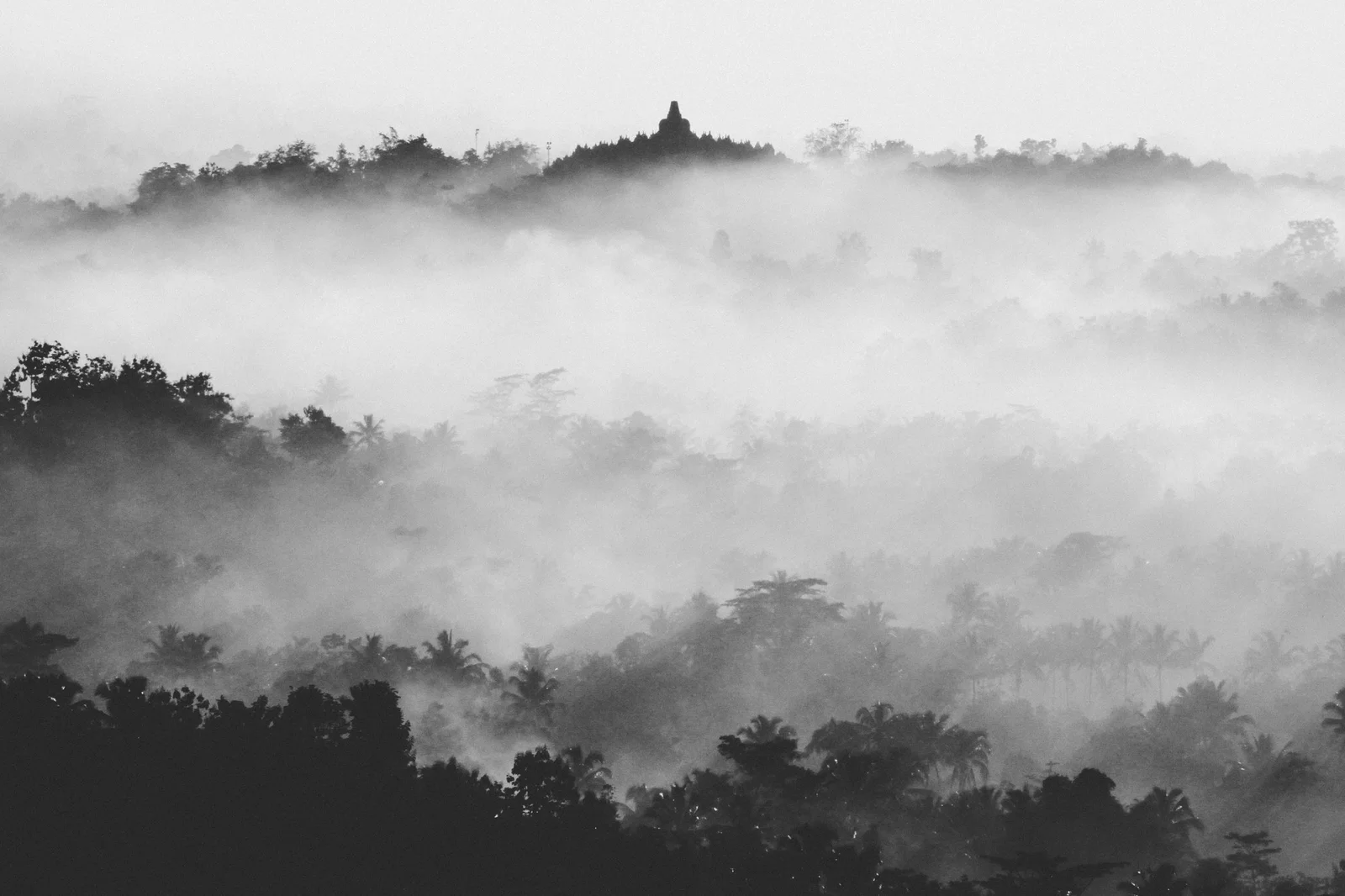 Borobudur stupas rising through the morning mist